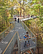 The Morris Arboretum of the University of Pennsylvania: See the forest from a new perspective from 50 feet up in the treetops on the Out on a Limb canopy walk, part of the Arboretum-wide interactive Tree Adventure exhibit.