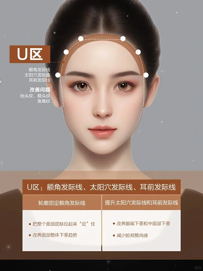面部骨相分区，骨相美关键点美学审美标准-花瓣网