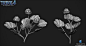 Trine 4 plant models