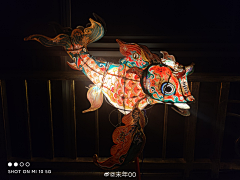 4RKoW7lj采集到花灯