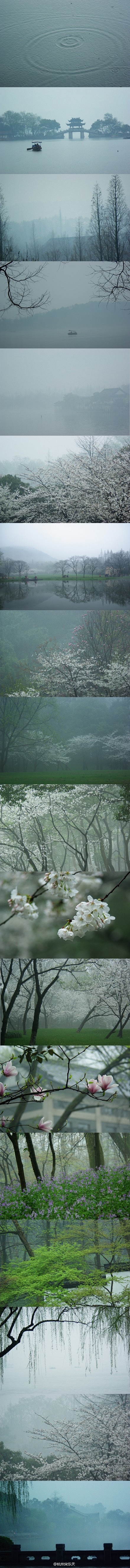 烟雨季节的杭州