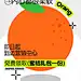蜜桔-02