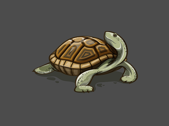 turtlelogo1