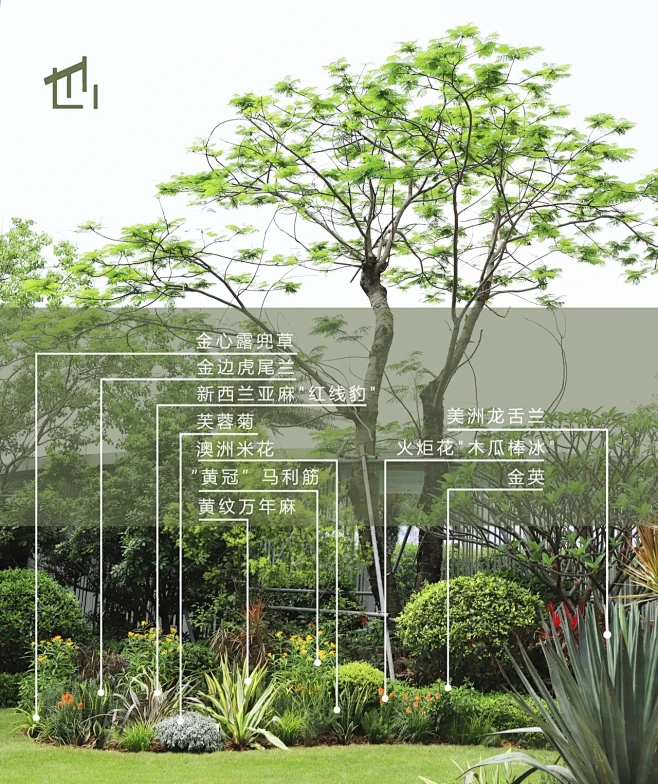 植物配置实景 (119)图片_植物学识图片素材-花瓣网