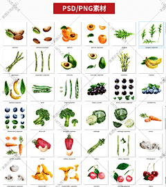 果蔬手绘水彩水墨水果蔬菜美食插画海报PNG免抠PSD分层PS素材模板