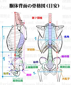抬手图片_人体图片素材-花瓣网