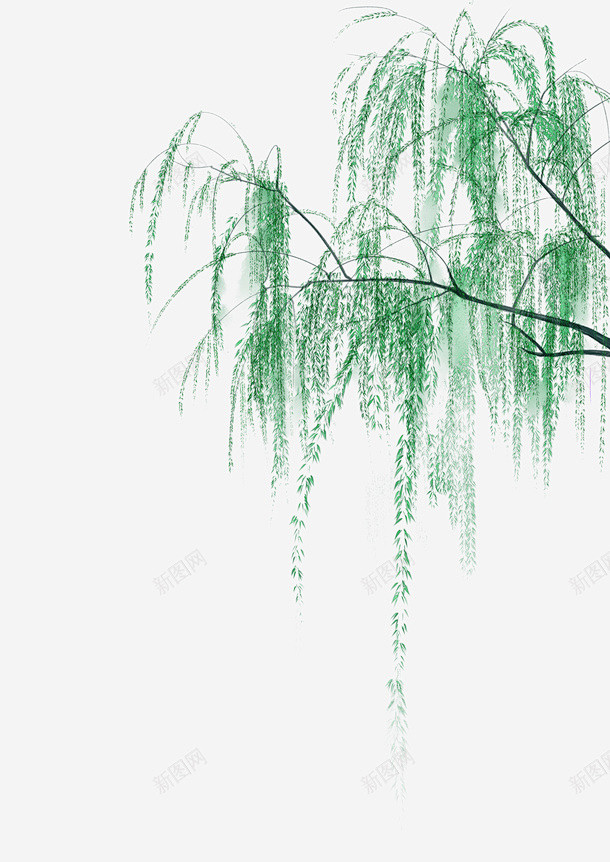 水墨柳树叶图 创意素材