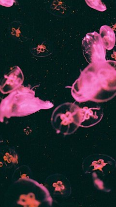 【高清手机壁纸。风景美图。城市风光摄影。设计灵感。桌面锁屏。】❤️