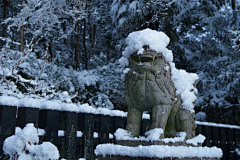 爽爽的yu~采集到雪景