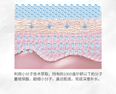 pxc_GRASS采集到肌肤渗透