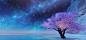 夜空最美