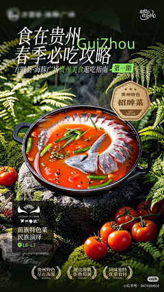 山上的大鸟采集到包整贵州