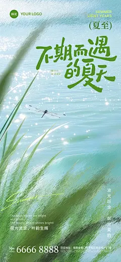 夏至实景感河畔芦苇蜻蜓海报aigc