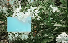 白色名片访问卡模拟模板图像