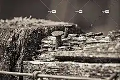 栅栏 木围栏 木头 自由背景 高清壁纸 免费壁纸 板 木板