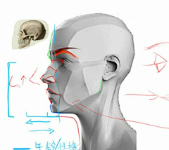 喵Becky采集到教程