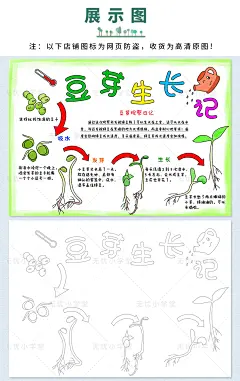自然笔记手抄报黄瓜生长记植物观察豆芽成长记包邮线稿涂色A48KA3-淘宝网
