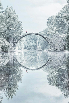 野生设计师Z采集到雪