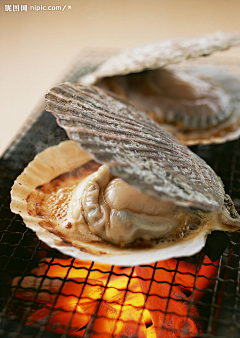 ★韩]==]C采集到美食