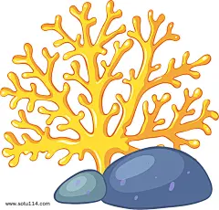 彩色珊瑚插画图片图片png免抠元素卡通手绘背景装饰免扣图片