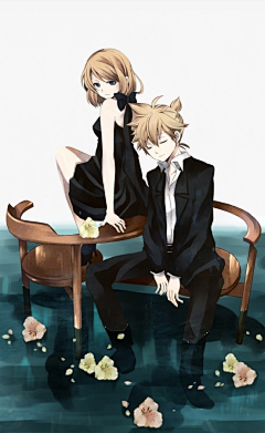 --辰星采集到Twin