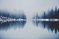 A lake with snowy wooded shores in fog