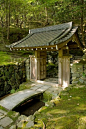 moss temple garden, kyoto, japan