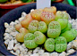 20120330155149_m3znP.thumb.700_0.png (700×515)