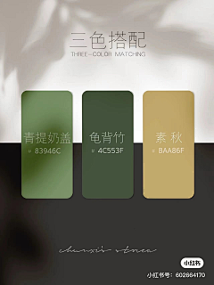 工管一班孙同学采集到配色