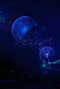 LINKS PROJECT | part 1 - COMPLEXITY GRAPHICS