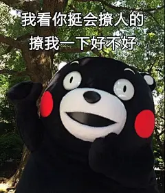 我看你挺会撩人撩我一下好不好 - 这才是真正优秀的尬聊，感觉以前的都弱爆了！ ​ - 斗图表情包 - 斗图神器 - adoutu.com