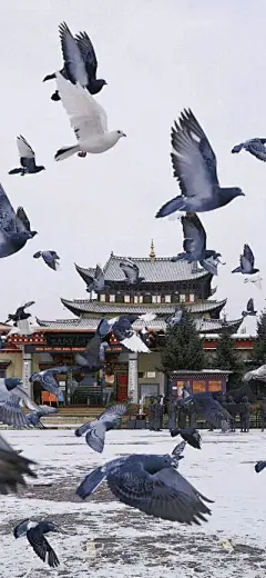 风景壁纸 - 高清图片，堆糖，美图壁纸兴趣社区