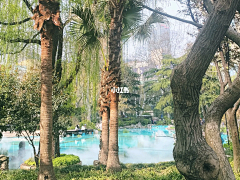 是妍妍妍啊采集到J-静安公园