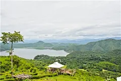 热带雨林_图片大全_全景网