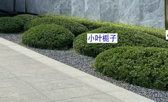 微信图片_20220929113941