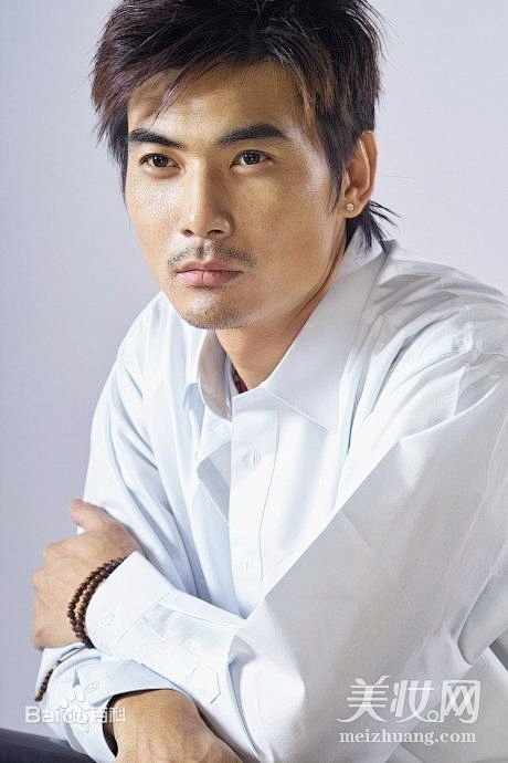 爱闪亮何至文扮演者是谁附武家辉个人资料及照片