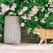 朝暮暮暮