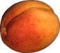 Large apricot PNG