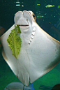 What? I have spinach on my teeth?!~<3~