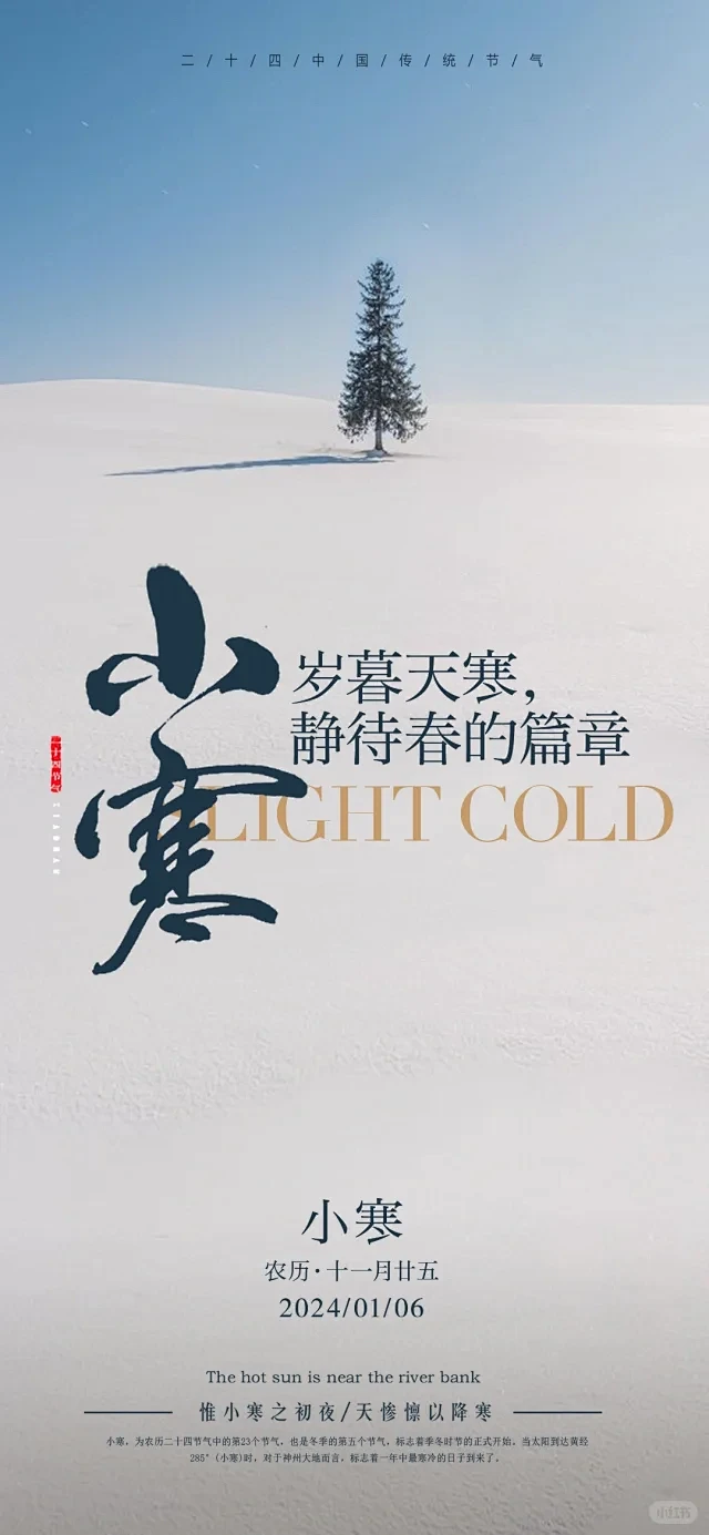 小寒海报设计 - 小红书搜索