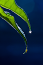VCG41175746680