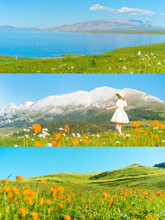 新疆的夏天，这世界美得好不真实