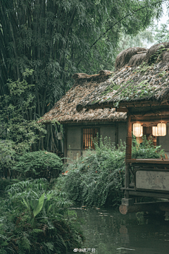 陈星茗采集到筑梦