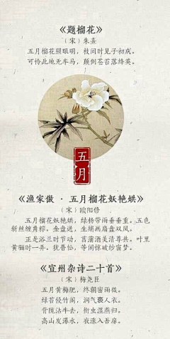 人生如逆旅、采集到文学