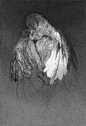 La Cantante y otras anatomías imaginarias : En algunos casos es el encuentro fortuito de naturalezas ajenas o distantes, en otras ocasiones un elemento en común es el detonante para crear una serie de personajes y situaciones de carácter inquietante y mis