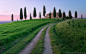 Country Road in Tuscany for 1920 x 1200 widescreen resolution