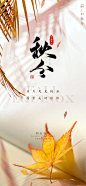 秋分节气海报