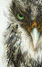 飞溅的水墨画，我把混沌变成艺术  抽象帆布|  动物画，鸟类，水墨艺术