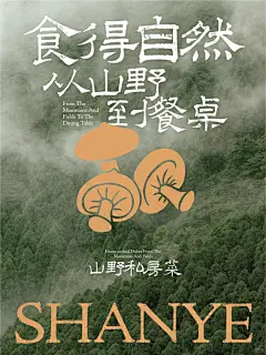 一组山野风海报设计 - 小红书