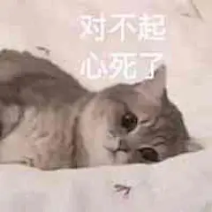 表情包 - 堆糖，美图壁纸兴趣社区